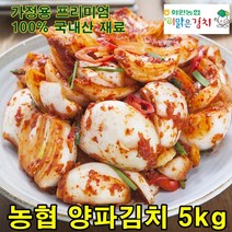 고급 국내산 양념재료 100% 전라도 해남 양파김치 3kg 양파 겉절이 농협 이맑은김치, 1개