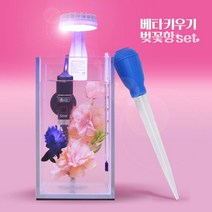 [스타릿1]아마존 베타키우기 벚꽃항 세트, 단일속성