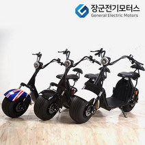 장군전기모터스 EB-X7 전동스쿠터, 유니언 60v 12ah  (리튬배터리)