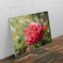 바보사랑 폼아크릴액자78CmX56Cm 부귀의빨간목단화.꾸밈, 2.재물