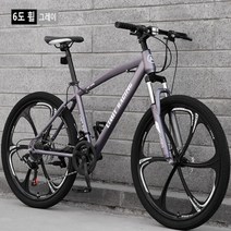 MTB산악 자전거 24/26인치 24단변속 변속 기계식 디스크 브레이크신상 6칼 합금 일체형 휠, 24인치, 은회색