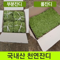 천연부분잔디20장/롤잔디2장/박스포장/무료배 송, 18cm.18cm부분잔디20장