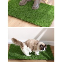 인조 잔디 인공 마당 베란다 테라스 카페트 블록 매트 롤 시공, 05. 3cm 암호화 두께로 봄풀 밴드 배수구(100x