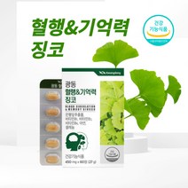 디아이하트 광동 은행잎추출물 징코 Ginko 혈행 기억력 메모리 플라보놀배당체 비타민 아연 셀렌 6중 복합기능 소형정제 어르신 수험생 추천 영양제, 60정, 1개