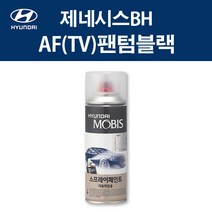 현대 순정품 제네시스BH AF TV 팬텀블랙 스프레이 287 자동차 차량용 도색 카페인트, AF(TV) 팬텀블랙 스프레이(모비스)