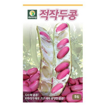 적작두콩 씨앗 30립 OK, 14개