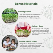 미국직구 아루굴라 새싹 & 마이크로그린 씨앗 - 비GMO 대량 4온스의 가보 새싹 씨앗 키트 토양 코코넛 코이어 정원 에어로가든 및 수경 시스템 마이크로그린을 심고 재배하기 재봉입 가능 가방, 상세참조, 수량