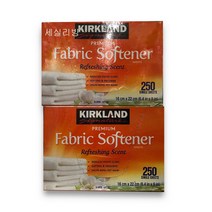 커클랜드 시트형섬유유연제 250매 x 2팩 대용량 패브릭 소프트너 드럼일반겸용 / 코스트코, 1개