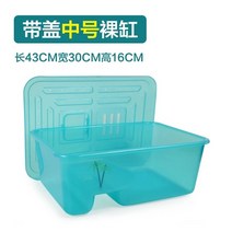 플라스틱 거북이 탱크 수조 뚜껑 있는 테라스 하우스, 뚜껑이 있는 레이크 블루 미디엄