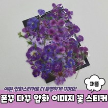 스티커 꽃 다꾸 이미지 폰꾸 압화 퍼플, 상세페이지 참조, 상세페이지 참조