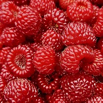 (급냉) 국내산 산딸기 1kg, 옵션선택