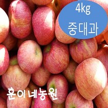 경북 안동 미시마 흠과 가정용 못난이 꿀 사과 4kg 흠집 중대과, 단품