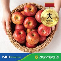 농협 경북 햇부사 보조개사과 L사이즈(250~360g)3.5+3.5kg 총7kg, 없음