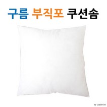 구름 실크 쿠션솜l 쿠션 l 압축포장 l 쿠션솜45 PTH, 유화쿠션커버(아이보리)