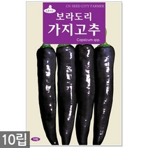 땅콩 씨앗 30g - 씨 땅콩씨앗 땅콩씨 콩씨앗 콩씨 견과류 주말농장 텃밭, 05_보라도리가지고추(10립)