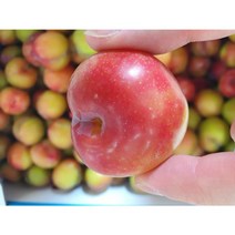 하트자두 대석자두 1kg (20~30과 내외), 1개