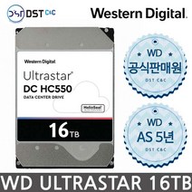 WD UltraStar 무상 5년 기업용하드, 16TB, HC550 16TB