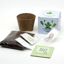 화분재배KIT 팜팜농장 상추 키우기