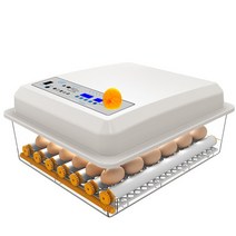 병아리부화기 자동병아리부화기 달걀부화기 계란부화기, 바이올렛 9매 클래식 더블 전기
