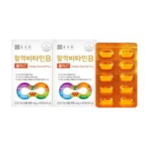 종근당건강 활력비타민B 800mg 120정 4개월분, 활력비타민B 2박스