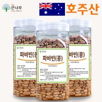 The큰나무 호주산 파바빈 콩 1kg 원물 23년산 햇 파바빈 수입사 직판 TV홈쇼핑 공급사, 3개