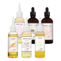 맑을담 뷰티오일 모음 미강유 타마누 오일 피마자 동백기름 맥아유 윗점 씨벅톤, 동백오일100ml, 1개