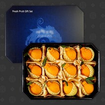 [KT알파쇼핑]한라봉 선물세트 3.5kg 12과