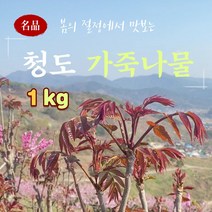[초특품 A+++] [산지직송] 가죽나물 500g 1kg 2kg, 1개