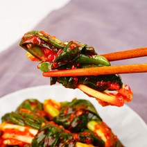 농가살리기 파김치 국내산 전라도 김치 양념 2kg 4kg, 전라도 파김치 2kg