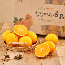 쿠메푸드 제주 산지직송 명품 천혜향 황금향 3kg 5kg 명절 설 추석 선물 세트 선물용, 1개