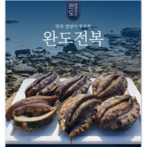 완도태양활전복 14-16미 500g/1kg, 1.5kg