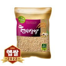 엉클탁 2022년산 햇곡 국산 찰현미, 10kg, 1개