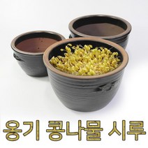 CHMALL_콩나물항아리 콩나물옹기 시루용항아리 다용도항아리 콩나물재배항아리 옹기콩나물시루 소+tLDPDLCLAHF, 지금본상품