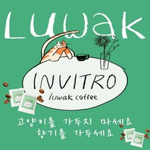 [당일 로스팅 당일 출고] 인비트로 루왁 사향고양이 저카페인 발효커피 (원두 드립백), 200g 원두(분쇄도:얇은 분쇄)