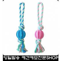 새로나는치아어린강아지스트레스제거 강아지운동 분리불안장난감 2개월강아지장난감, 1개, 핑크