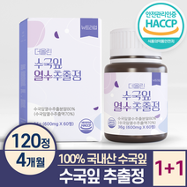 수국잎 열수 추출물 정 100% 식약처인증 HACCP 뉴트라업, 2박스(4개월)