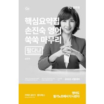 2022 커넥츠 공단기 손진숙 영어 쑥쑥 마무리 필다나:9급 공무원 시험 대비, 원더북스