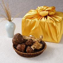 자연산 송이버섯 생송이버섯 선물세트 설 추석 명절 선물용, 1박스, 특품 1kg
