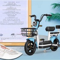 어르신전동차 오토바이 삼륜차 전기 농촌 노인 관부가세포함, G