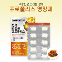 내츄럴플러스 면역 항균 프로폴리스 500mg x 60정, 60정 x 4개