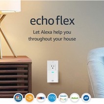 아마존 에코 플렉스 미니 스마트 스피커 알렉사 Echo Flex 관부가세 포함