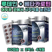 루테인 황반색소 밀도 유지 어두운곳 시각적응 눈건강 빌베리 블루베리 포도종자 비타민 미네랄 마리골드꽃 베타카로틴 대두레시틴 2개월분