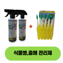 천연식물살균제 싹스리균1+1(500ml-2병)인체무해 화분 텃밭 조경 식물전용 가정원예 식물살균제