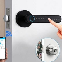 Tuya 방문 도어락 지문인식 나무문 사무실 침실 번호키, 총 와이파이