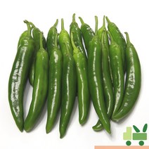 사라상회 오이고추 2Kg (특), 1박스