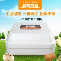 백봉오골계알 인큐베이터 부화기 계란 닭 알 부하기 산란계 케이지, 48개의 롤 폼이 자동 이중 전기 벨트