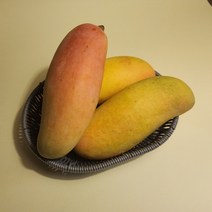 무지개망고 캄보디아망고 태국망고, 태국 골드망고 5kg