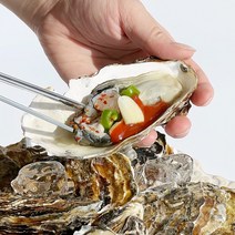 [맛통영] 통영 산지직송 제철 최상급 생굴 깐굴 굴 석화 각굴 하프셀 반각굴 1kg, 생굴1kg, 1개