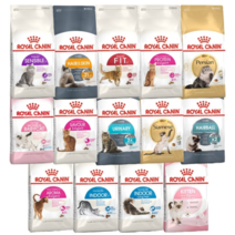 로얄캐닌 캣 2kg 고양이간식 캣간식 캣사료 고양이사료, 샴