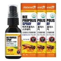 네추럴라이즈 비프로폴리스 스프레이 3박스